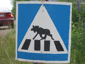 Tryck f&ouml;r st&ouml;rre bild!