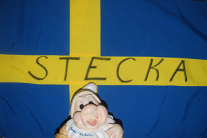 Tryck f&ouml;r st&ouml;rre bild!